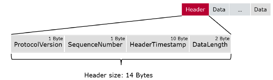 Bus Mirroring Protocol Header