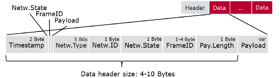 Bus Mirroring Protocol Data Item