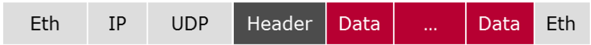 Bus Mirroring Serialization Protocol