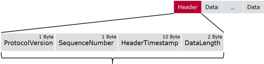 Bus Mirroring Protocol Header