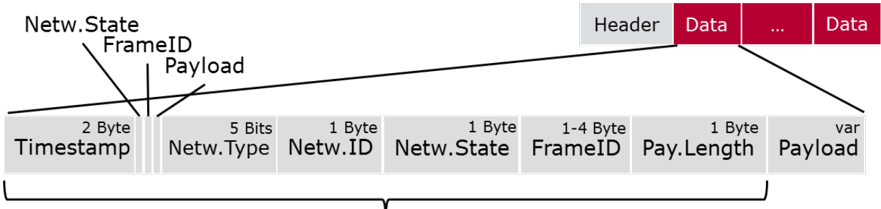 Bus Mirroring Protocol Data Item